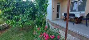 Danijela Apartment
